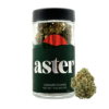 Aster Farms Grapesicle (H) – Smalls – 1/2 Ounce